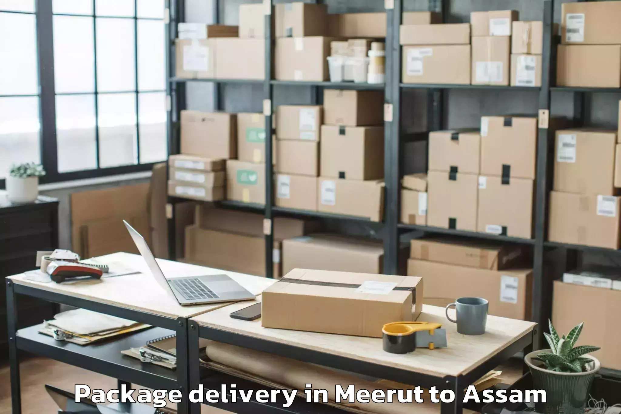 Professional Meerut to Udharbond Package Delivery